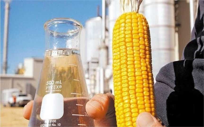 Mato Grosso vai receber mais uma grande usina de etanol de milho