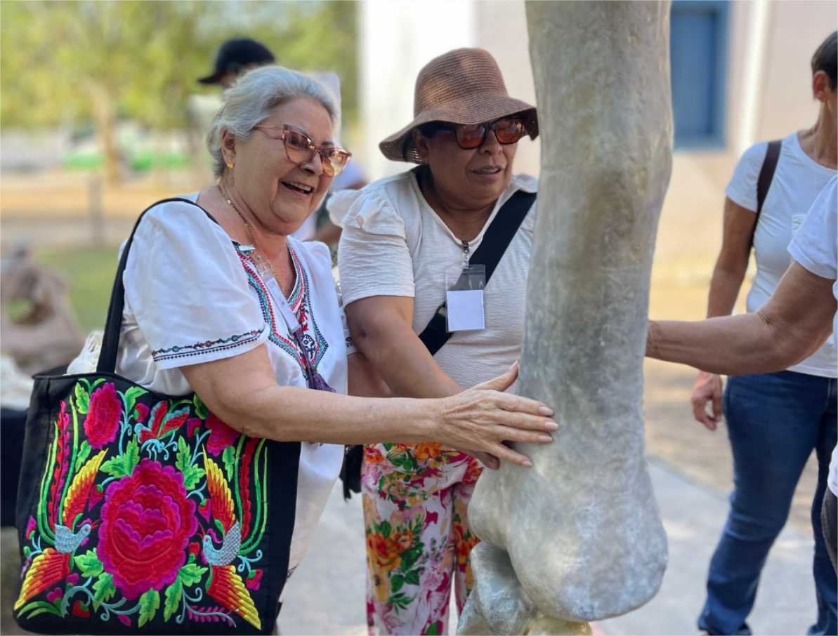 Museu de História Natural de MT oferece atividades inclusivas em programação de evento nacional