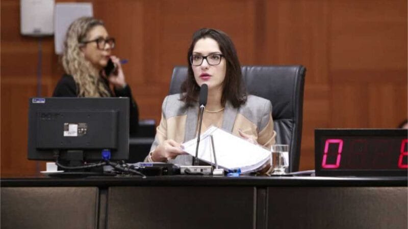 Janaina Riva afirma que fechar LDO e LOA será prioridade ao assumir presidência da AL