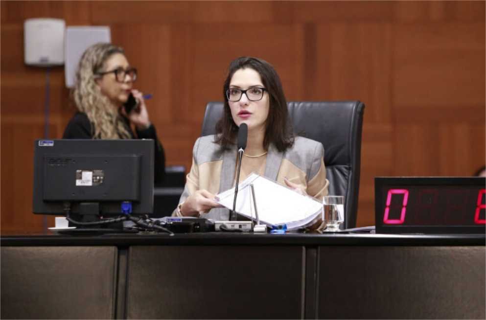 Janaina Riva afirma que fechar LDO e LOA será prioridade ao assumir presidência da AL