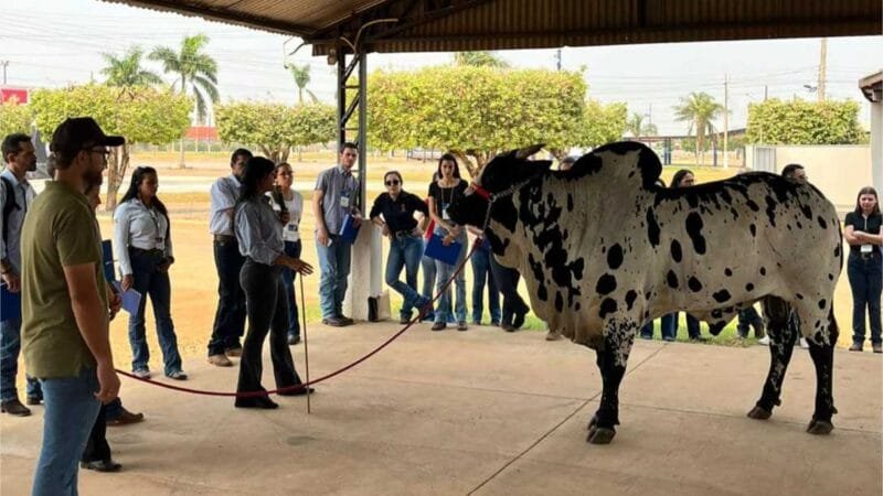 Noções de aplicação do PMGZ foram debatidas durante curso de avaliação de reprodutores