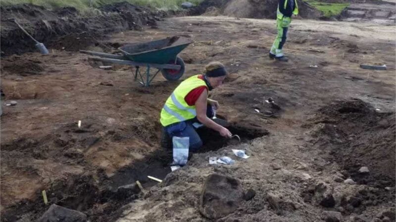 Arqueólogos descobrem grande cemitério viking na Suécia