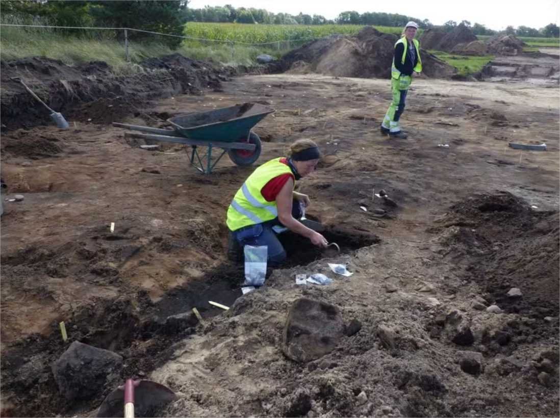 Arqueólogos descobrem grande cemitério viking na Suécia