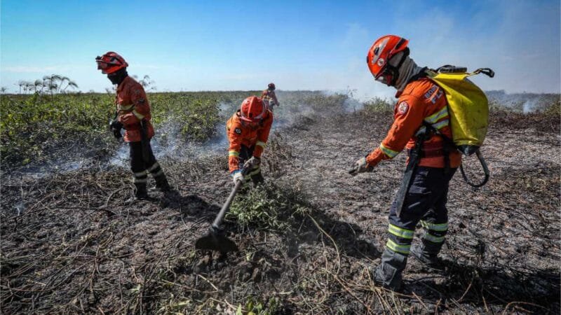 Bombeiros de MT combatem 21 incêndios florestais no Estado nesta quarta-feira (16)