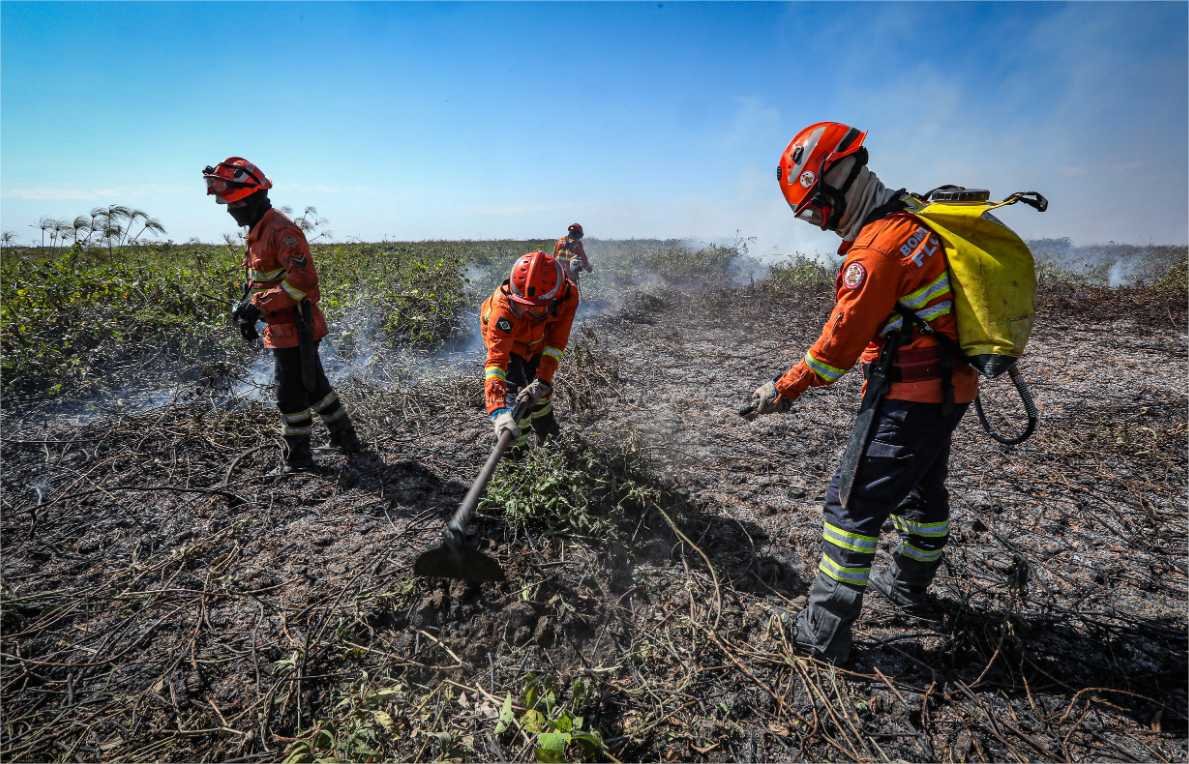 Bombeiros de MT combatem 21 incêndios florestais no Estado nesta quarta-feira (16)