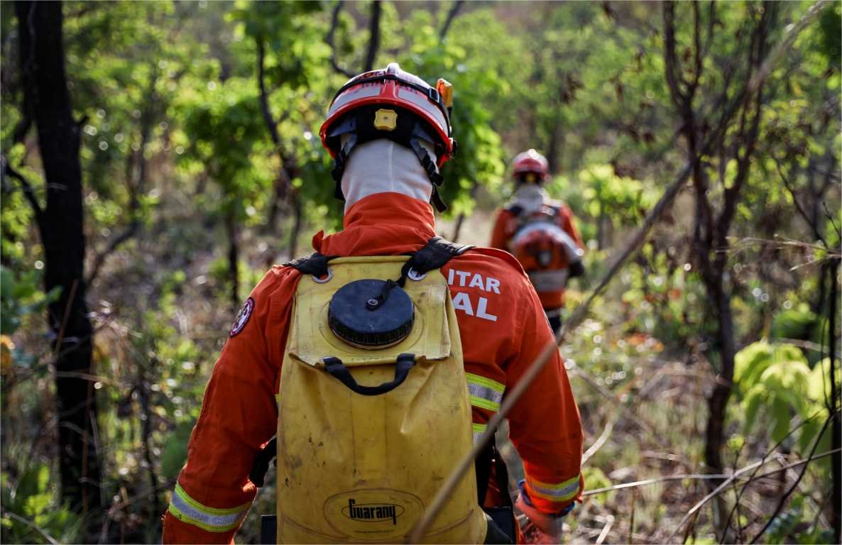 Bombeiros de MT combatem incêndio em área de difícil acesso no Portão do Inferno