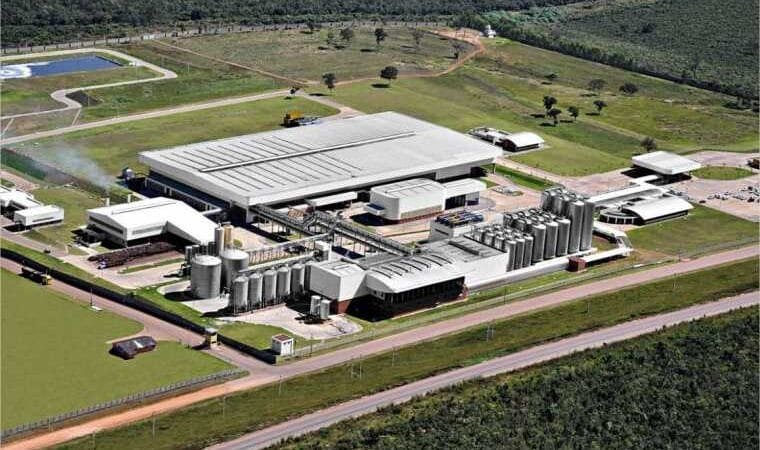 Grupo Petrópolis é TOP 5 no ranking 100 Open Corps 2024