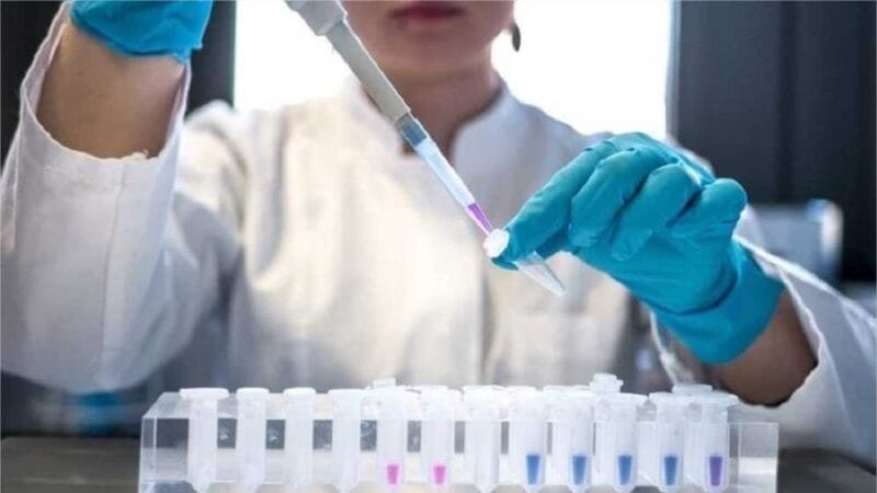 Governo Lula cria prêmio “Mulheres e Ciência”