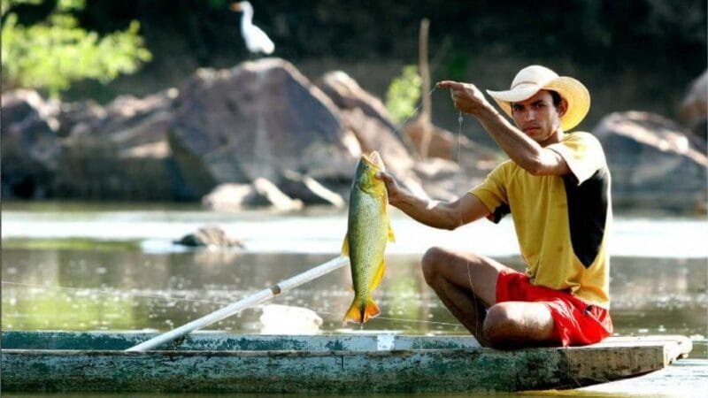 Começa período de proibição da pesca nos rios de Mato Grosso