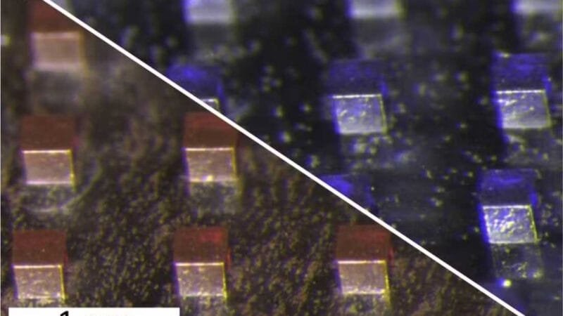 Novo implante destrói câncer usando fototerapia e quimio de uma vez só