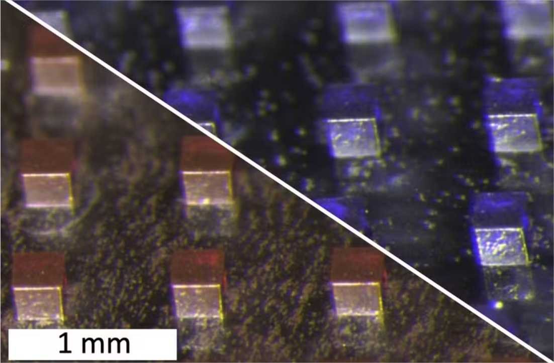 Novo implante destrói câncer usando fototerapia e quimio de uma vez só