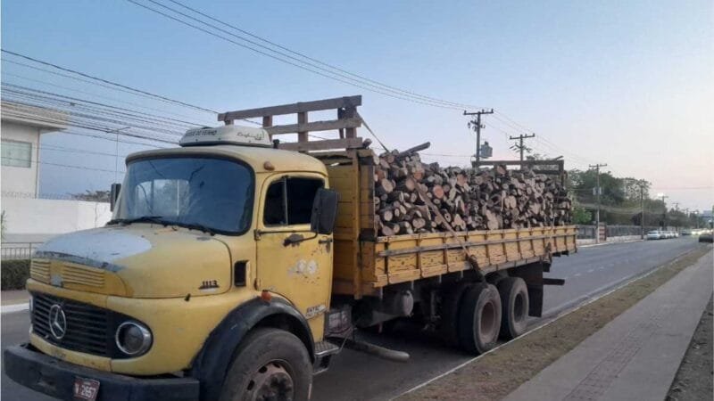 Polícia Civil prende 5 pessoas por desmatamento ilegal na região rural de Cuiabá