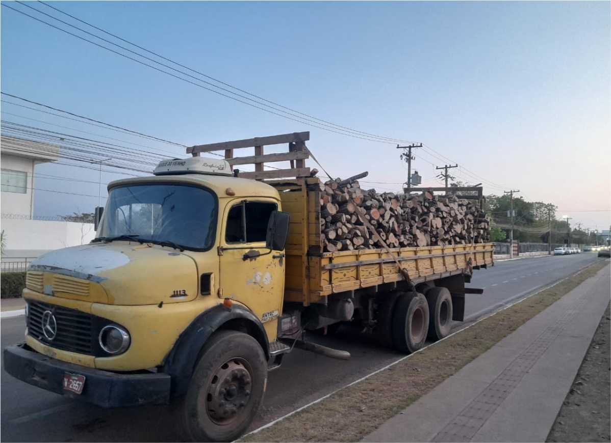 Polícia Civil prende 5 pessoas por desmatamento ilegal na região rural de Cuiabá
