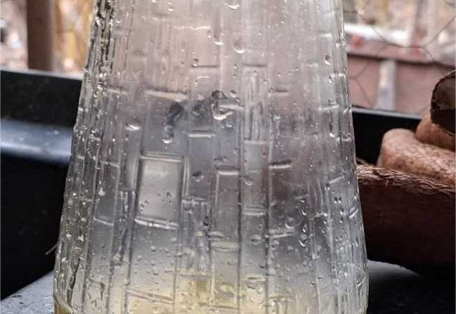 Cuiabá sedia mostra científica e olimpíada de conhecimentos dos povos tradicionais, indígenas e quilombolas