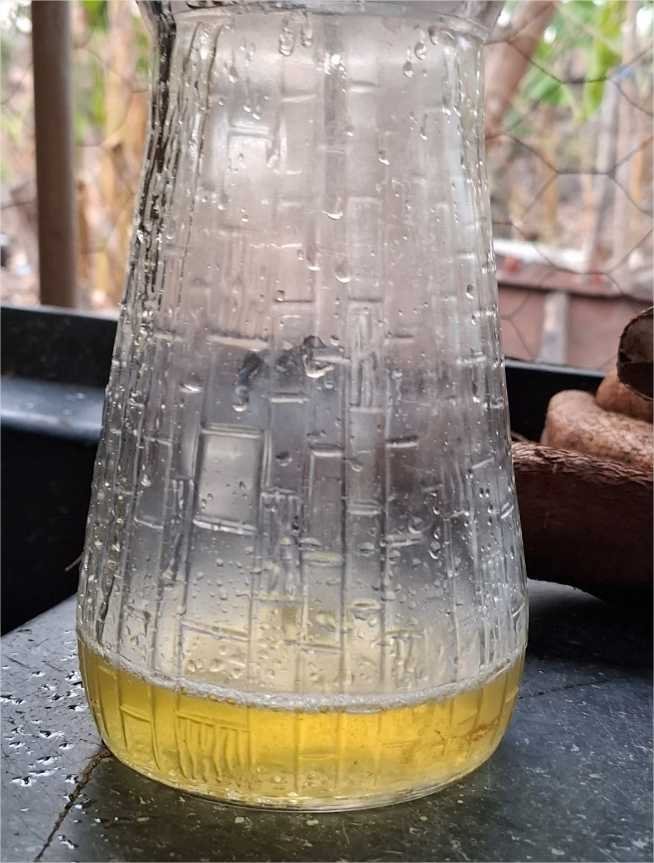 Cuiabá sedia mostra científica e olimpíada de conhecimentos dos povos tradicionais, indígenas e quilombolas