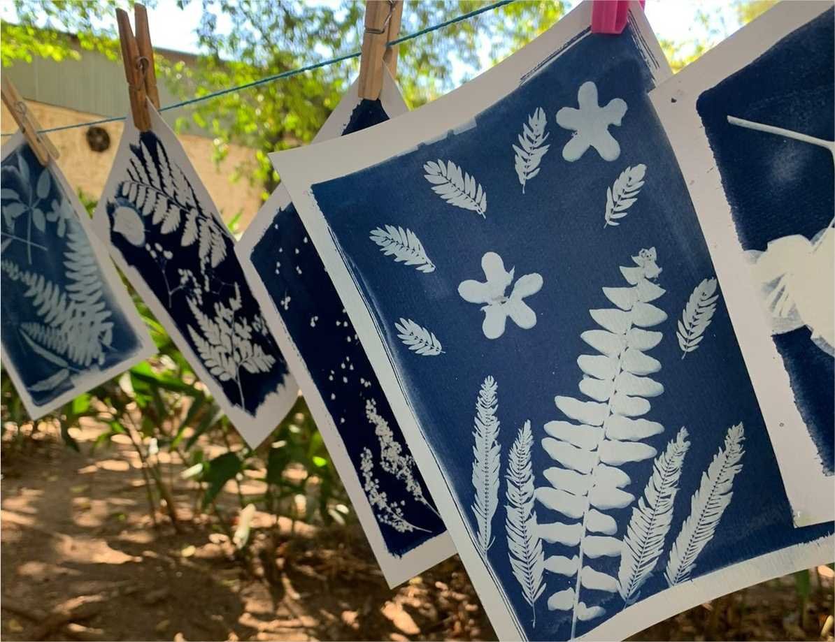 Cabelo maluco de dinossauro, pintura sustentável e oficinas de reciclagem: confira programação do Museu de História Natural para o mês de novembro