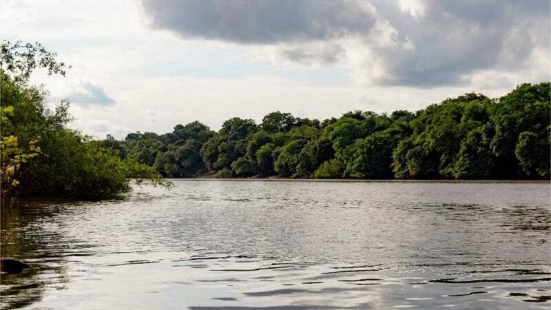 Conselho Estadual de Recursos Hídricos realiza eleição de representantes de ONGs e Usuários de Água