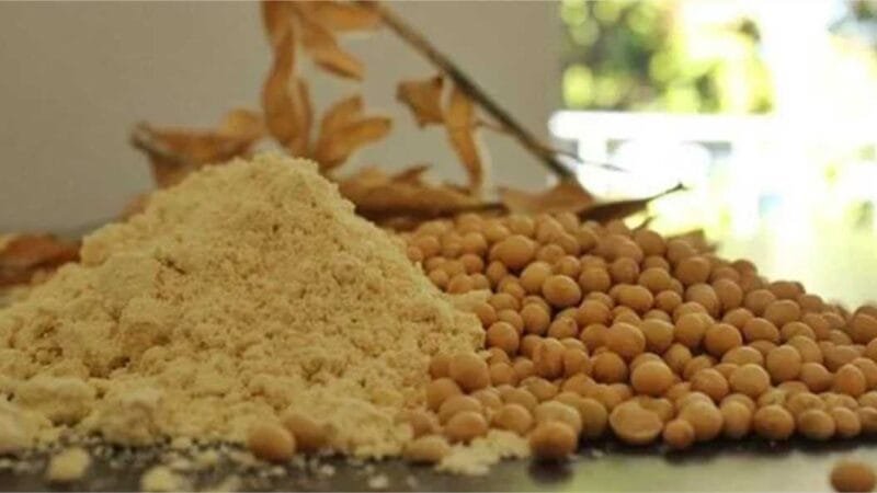 Soja | Projeção mundial deve chegar a 424,5 milhões de toneladas em 2024/25