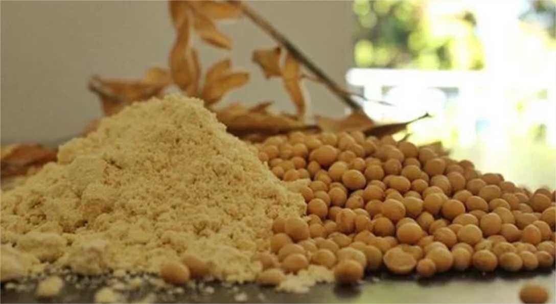 Soja | Projeção mundial deve chegar a 424,5 milhões de toneladas em 2024/25