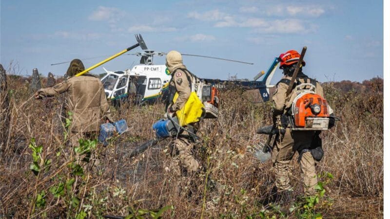 Corpo de Bombeiros combate 21 incêndios florestais no Estado nesta quinta-feira (10)