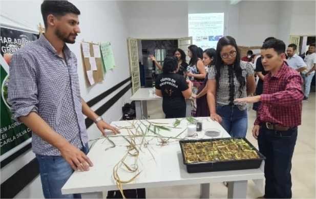 Seciteci realiza 3º edição da Mostra Estadual das Escolas Técnicas a partir desta quinta-feira (21)