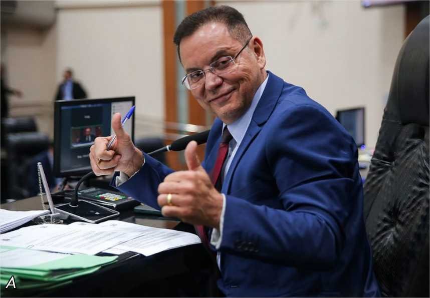 Botelho propõe criação de abrigo estadual para cães e gatos