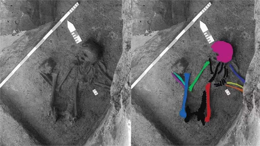 “Frankenstein neolítico”? Esqueleto com ossos de 5 pessoas é achado na Bélgica