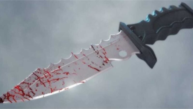 Mulher mata marido com golpe de faca durante discussão; alegou legítima defesa