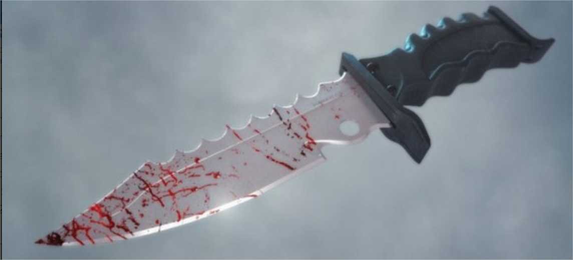 Mulher mata marido com golpe de faca durante discussão; alegou legítima defesa