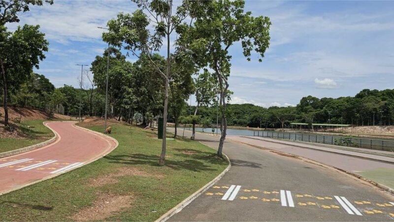 Semob implanta faixas de pedestres com ‘patinhas amarelas’ para alertar condutores da presença constante de capivaras