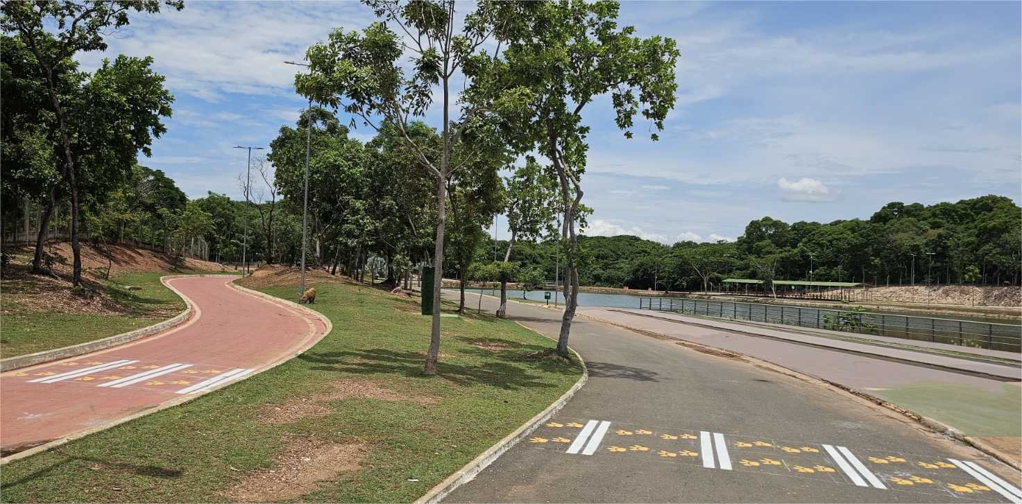 Semob implanta faixas de pedestres com ‘patinhas amarelas’ para alertar condutores da presença constante de capivaras