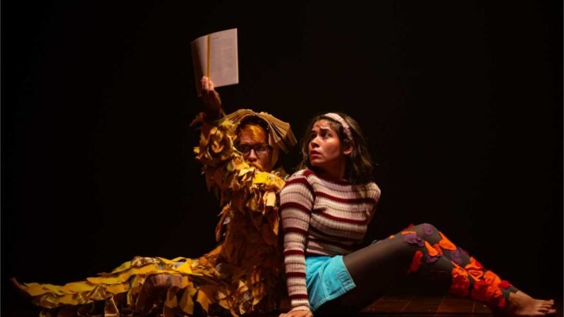 Festival Velha Joana começa nesta sexta-feira (08) em Primavera do Leste