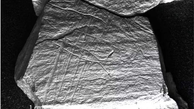 Mais antiga representação de pesca é encontrada em gravuras da Idade do Gelo