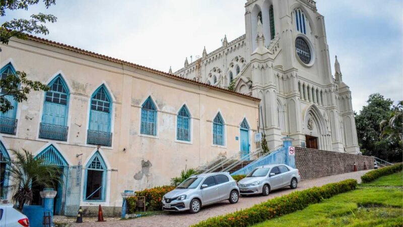 Governo de MT participa de evento sobre manejo florestal sustentável em Minas Gerais