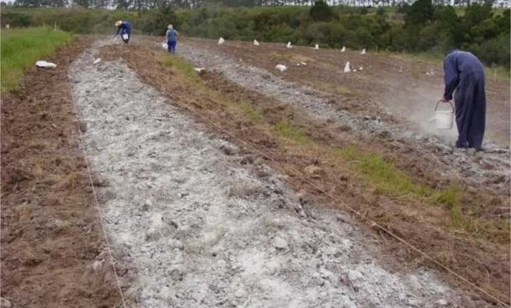 Projeto da Metamat utiliza rejeitos de mineração como insumos para fortalecer a agricultura em MT