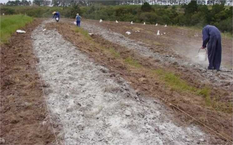 Projeto da Metamat utiliza rejeitos de mineração como insumos para fortalecer a agricultura em MT