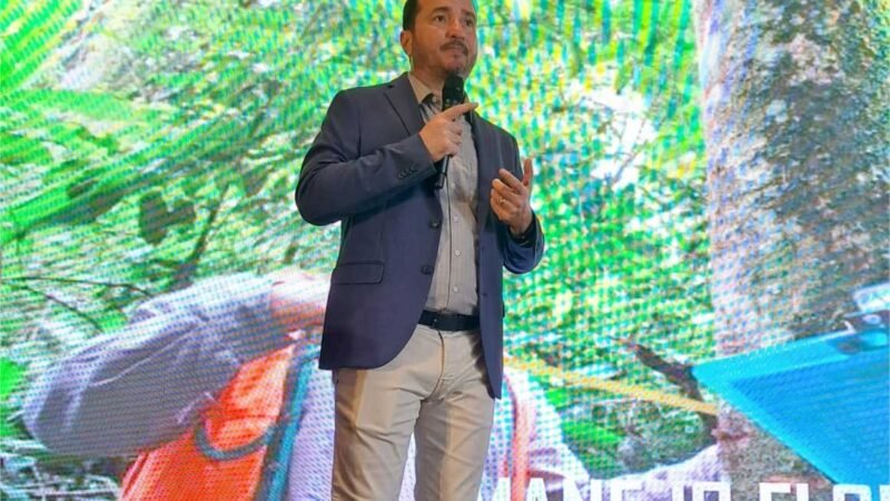 Importância do setor de base florestal é apresentada em evento em MG