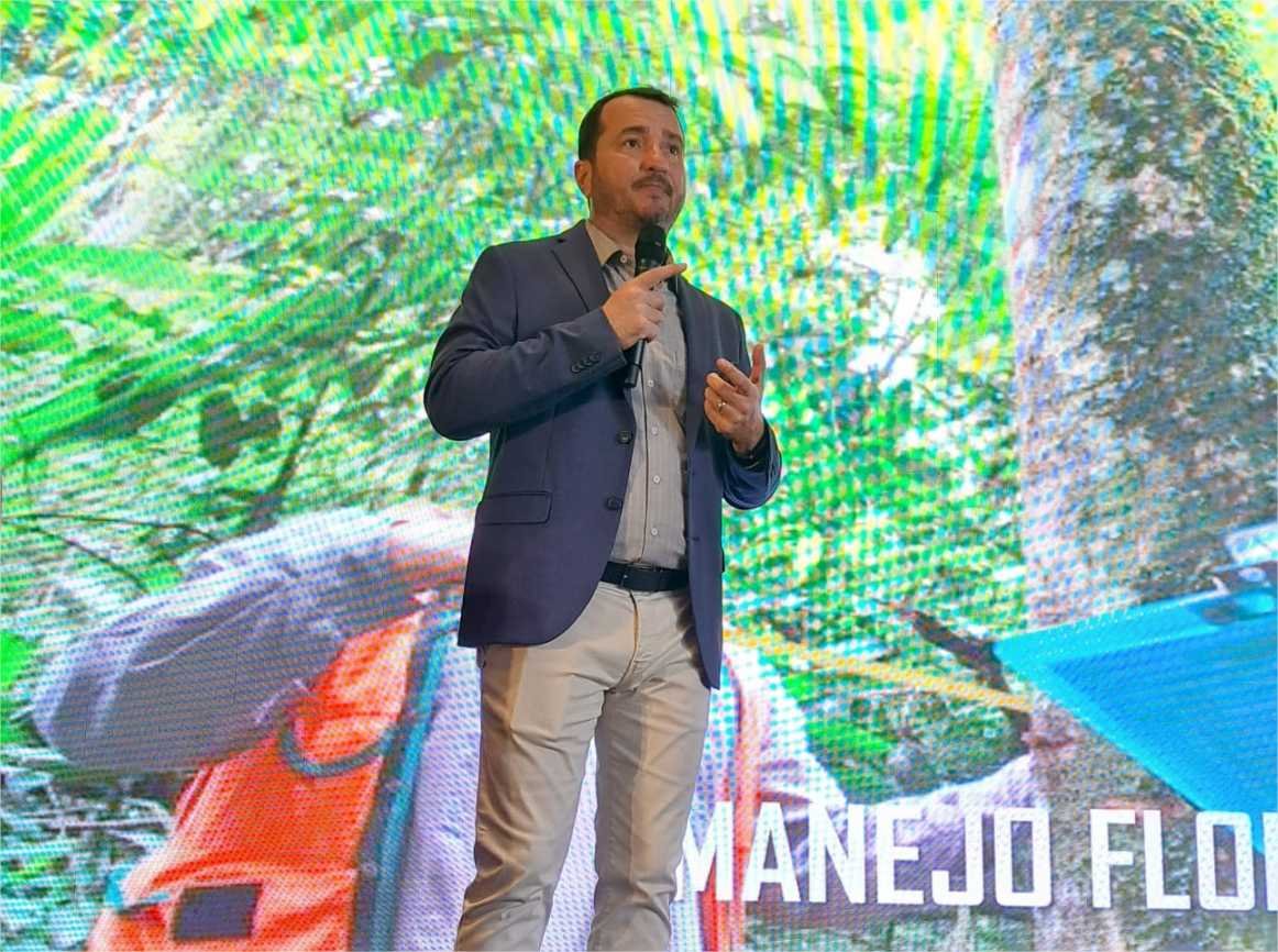 Importância do setor de base florestal é apresentada em evento em MG