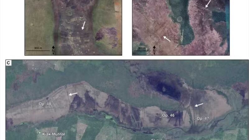 Canais de pesca de 4 mil anos de ancestrais dos maias são encontrados