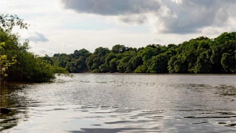 Audiência Pública para escolher membros do Conselho Estadual de Recursos Hídricos é adiada para 13 de dezembro