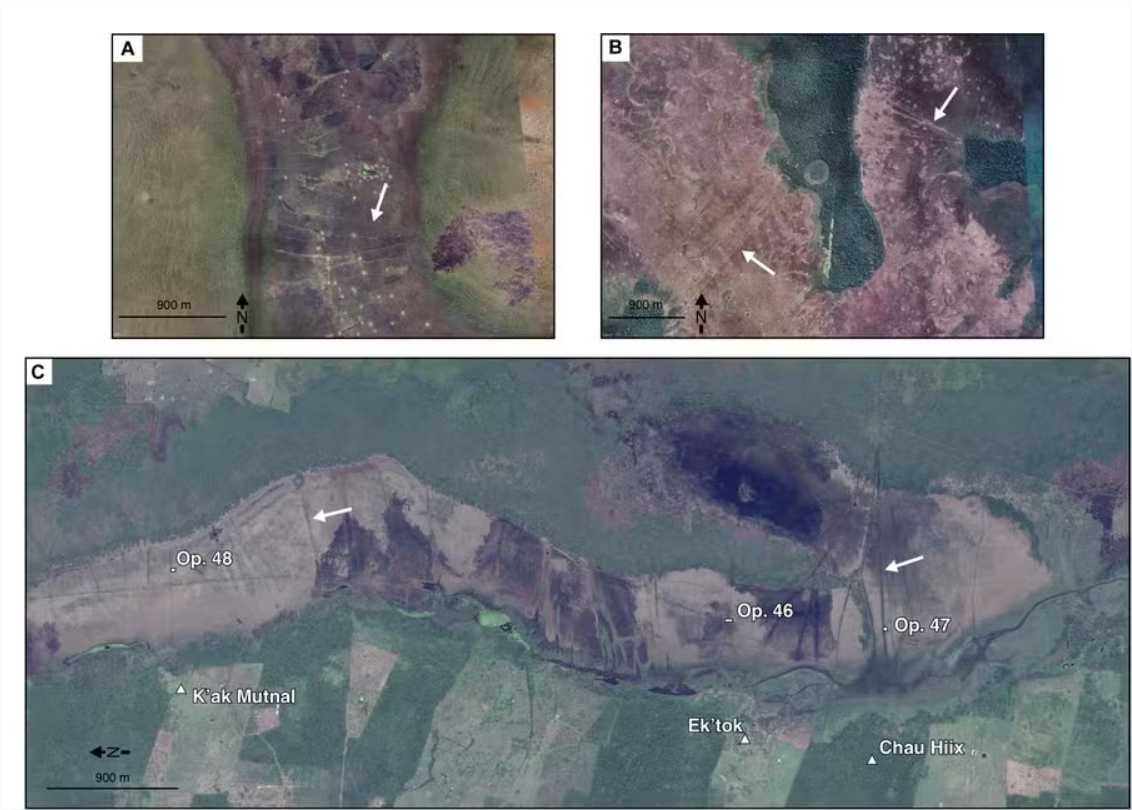 Canais de pesca de 4 mil anos de ancestrais dos maias são encontrados