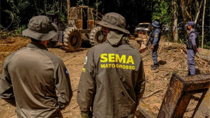 Sema embargou área equivalente a 300 mil campos de futebol em MT