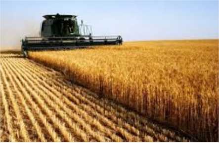 Brasil amplia importações, mas tem previsão de recorde histórico