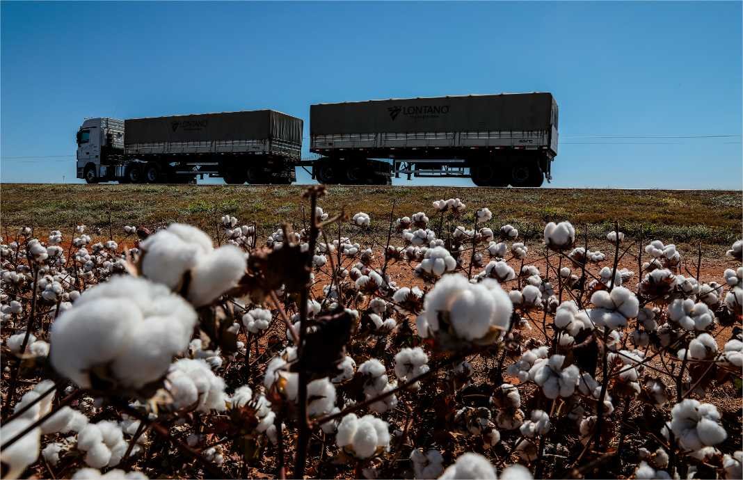 Exportações de MT alcançam 157 países e geram US$ 25,95 bilhões em 2024