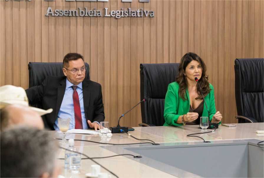 Defensoria pede apoio dos deputados para garantir investimentos