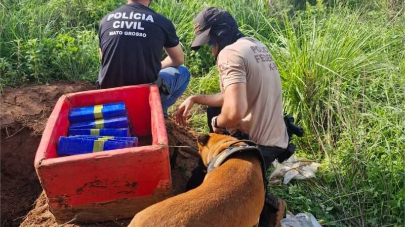 Operação Decretados cumpre 14 ordens de prisão e de busca contra grupo que sequestrou e torturou casal