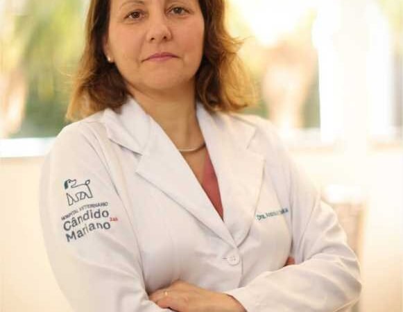 Lei de fogos silenciosos: CRMV-MT reforça cuidados com animais em Mato Grosso