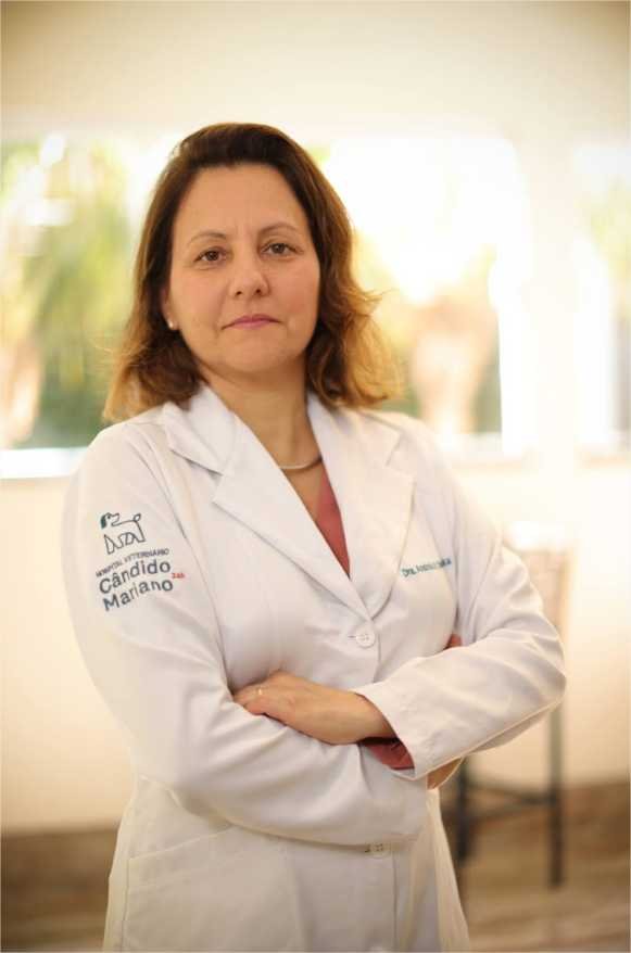 Lei de fogos silenciosos: CRMV-MT reforça cuidados com animais em Mato Grosso