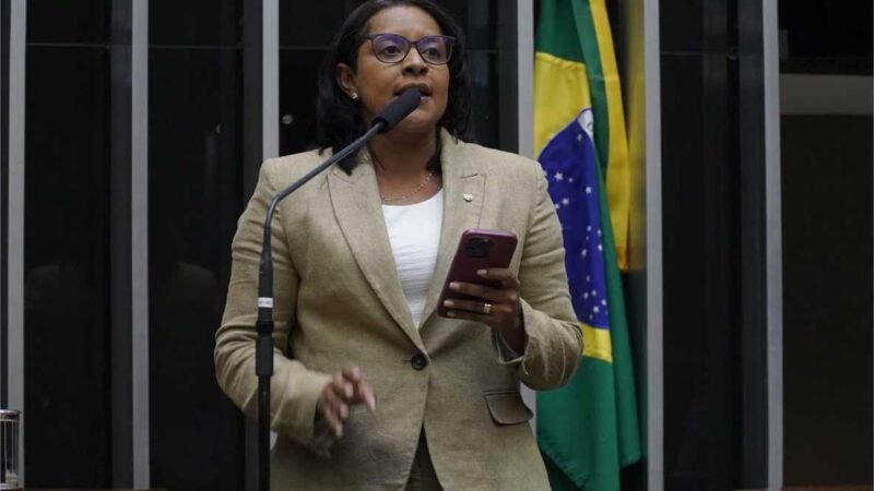 Gisela Simona passa a limpo atuação e comemora vitórias em favor da mulher na Câmara e em MT