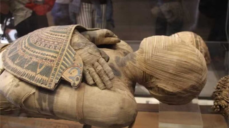 DNA da Peste Negra é encontrado em múmia egípcia de cerca de 3.300 anos